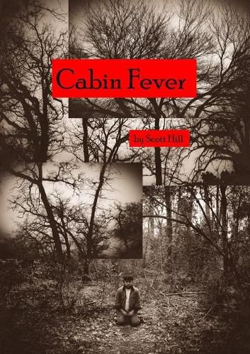 Cover image for Cabin Fever