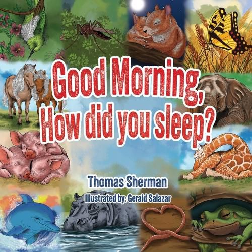 Cover image for Good Morning, How Did You Sleep?