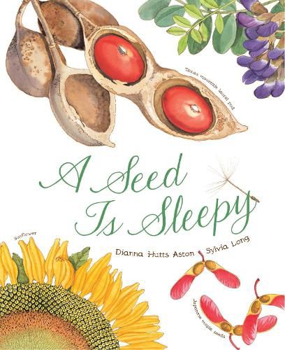 Cover image for A Seed Is Sleepy