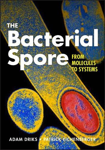 Cover image for The Bacterial Spore - From Molecules to Systems