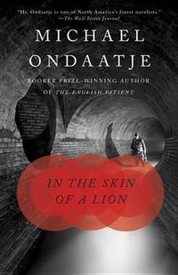 Cover image for In the Skin of a Lion