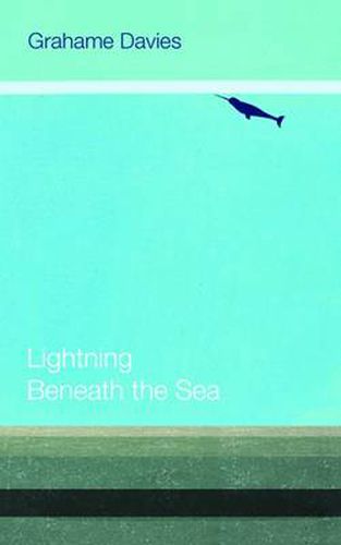 Cover image for Lightning Beneath the Sea