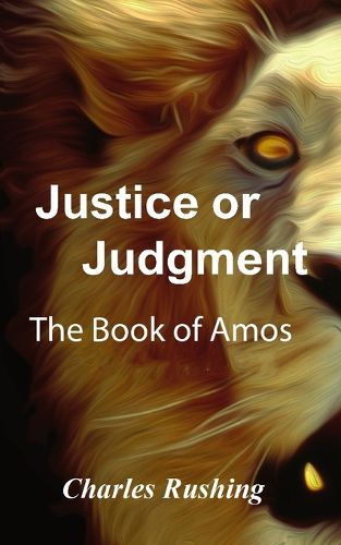 Cover image for Justice or Judgment