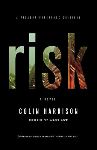 Cover image for Risk