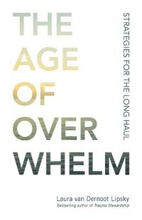 Cover image for The Age of Overwhelm: Strategies for the Long Haul