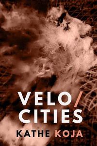 Cover image for Velocities: Stories