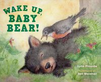 Cover image for Wake Up, Baby Bear!