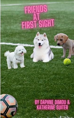 Cover image for Friends at First Sight