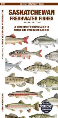 Cover image for Saskatchewan Freshwater Fishes