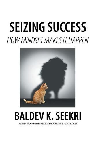 Cover image for Seizing Success