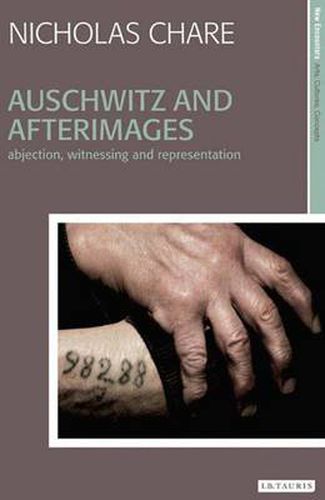 Cover image for Auschwitz and Afterimages: Abjection, Witnessing and Representation