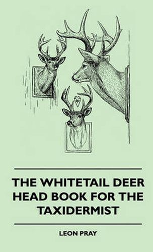 Cover image for The Whitetail Deer Head Book For The Taxidermist