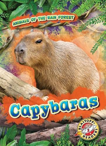 Cover image for Capybaras