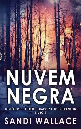 Cover image for Nuvem Negra