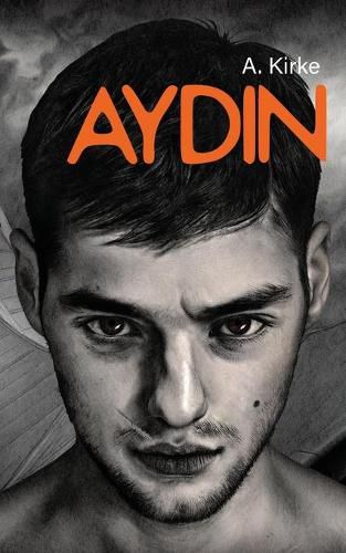 Cover image for Aydin