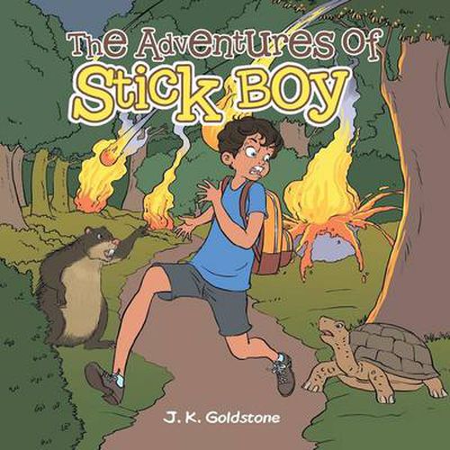 Cover image for The Adventures of Stick Boy