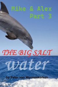 Cover image for The Big Salt Water