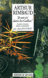 Cover image for Je Suis Ici Dans Les Gallas: Lettres Et Textes Choisis Et Presentes
