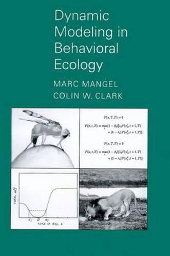 Cover image for Dynamic Modeling in Behavioral Ecology