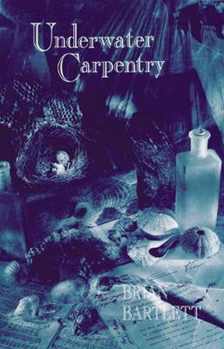 Cover image for Underwater Carpentry