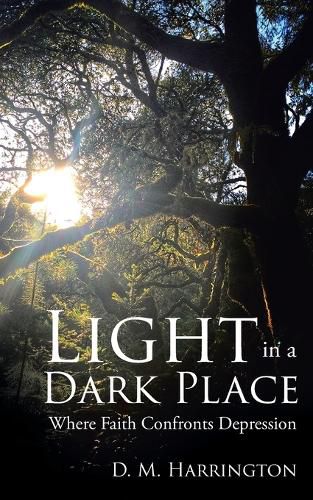 Cover image for Light in a Dark Place: Where Faith Confronts Depression