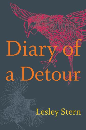 Cover image for Diary of a Detour