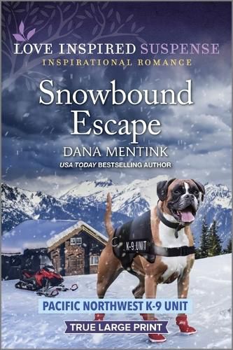 Cover image for Snowbound Escape