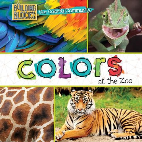 Cover image for Colors at the Zoo