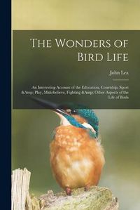 Cover image for The Wonders of Bird Life: an Interesting Account of the Education, Courtship, Sport & Play, Makebelieve, Fighting & Other Aspects of the Life of Birds