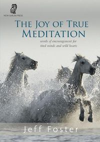 Cover image for The joy of True Meditation: Words of Encouragement for Tired Minds and Wild Hearts