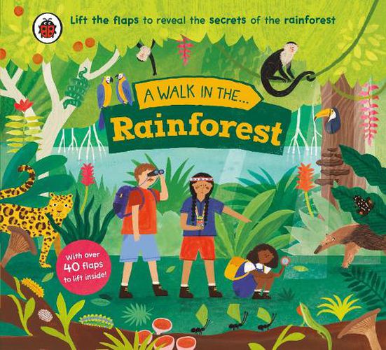 Cover image for A Walk in the Rainforest