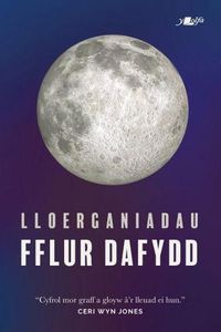 Cover image for Lloerganiadau