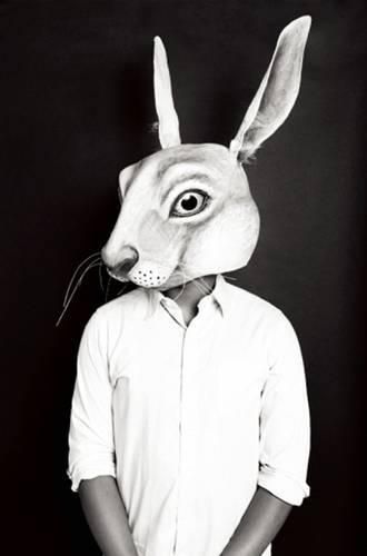 Cover image for Appropriate/An Octoroon: Plays