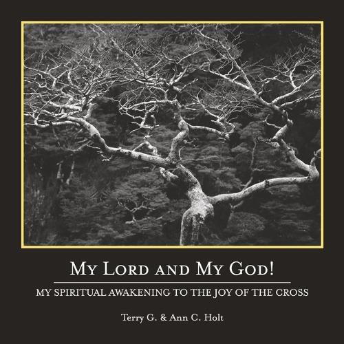 Cover image for My Lord And My God!
