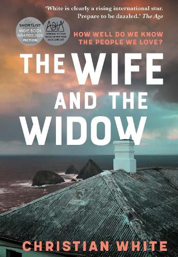 Cover image for The Wife and the Widow