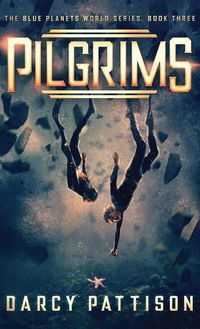 Cover image for Pilgrims