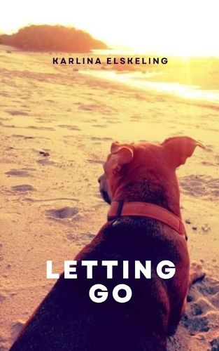Cover image for Letting Go