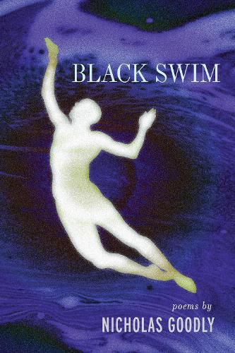 Cover image for Black Swim