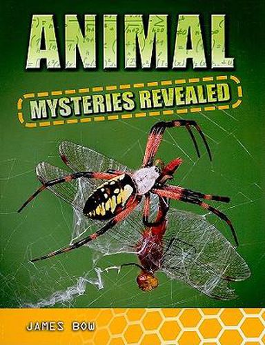 Cover image for Animal Mysteries Revealed