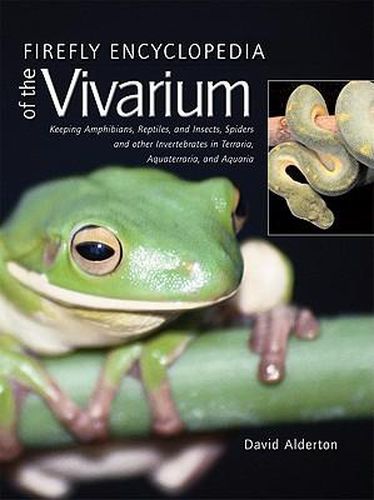 Cover image for Firefly Encyclopedia of the Vivarium: Keeping Amphibians, Reptiles, and Insects, Spiders and Other Invertebrates in Terraria, Aquaterraria, and Aquaria