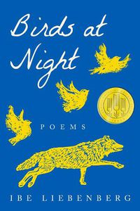 Cover image for Birds at Night