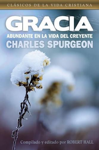 Cover image for Spanish - Grace Abounding in a Believer's Life