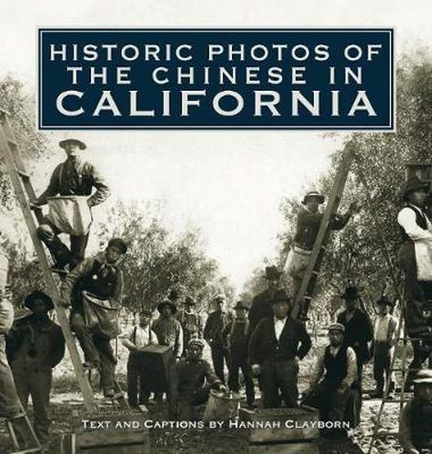 Cover image for Historic Photos of the Chinese in California