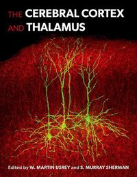 Cover image for The Cerebral Cortex and Thalamus