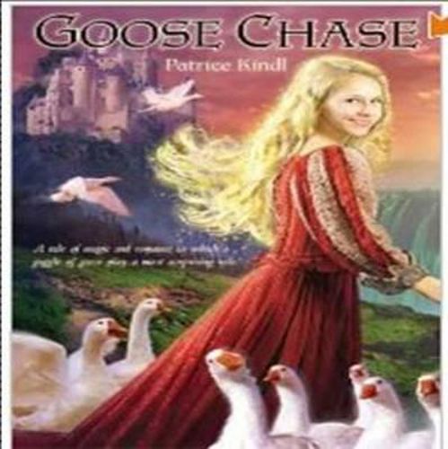 Cover image for Goose Chase