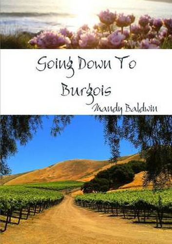 Cover image for Going Down to Burgois