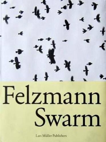 Cover image for Lukas Felzmann: Swarm