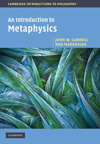 Cover image for An Introduction to Metaphysics