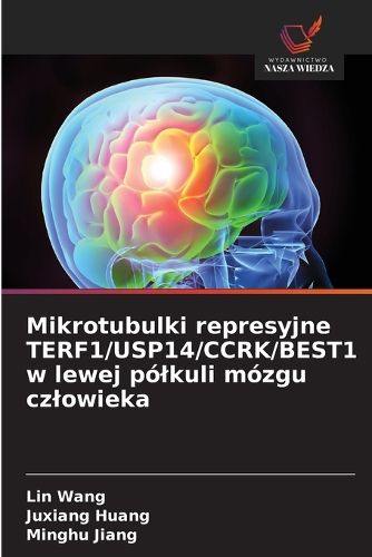 Cover image for Mikrotubulki represyjne TERF1/USP14/CCRK/BEST1 w lewej polkuli mozgu czlowieka