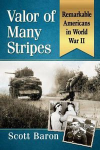 Cover image for Valor of Many Stripes: Remarkable Americans in World War II